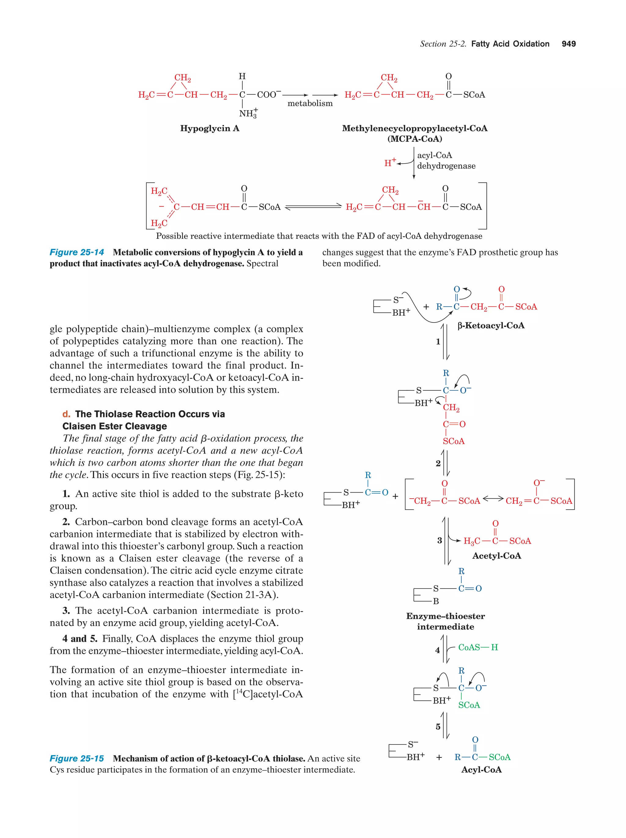 Biochemistry.4th.edition