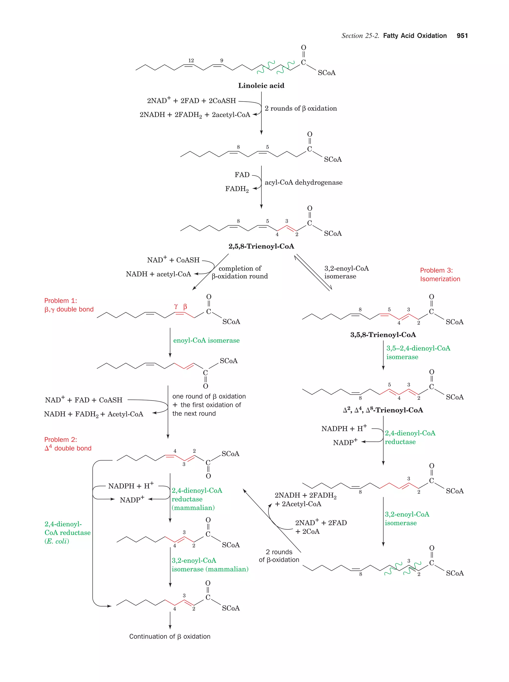 Biochemistry.4th.edition