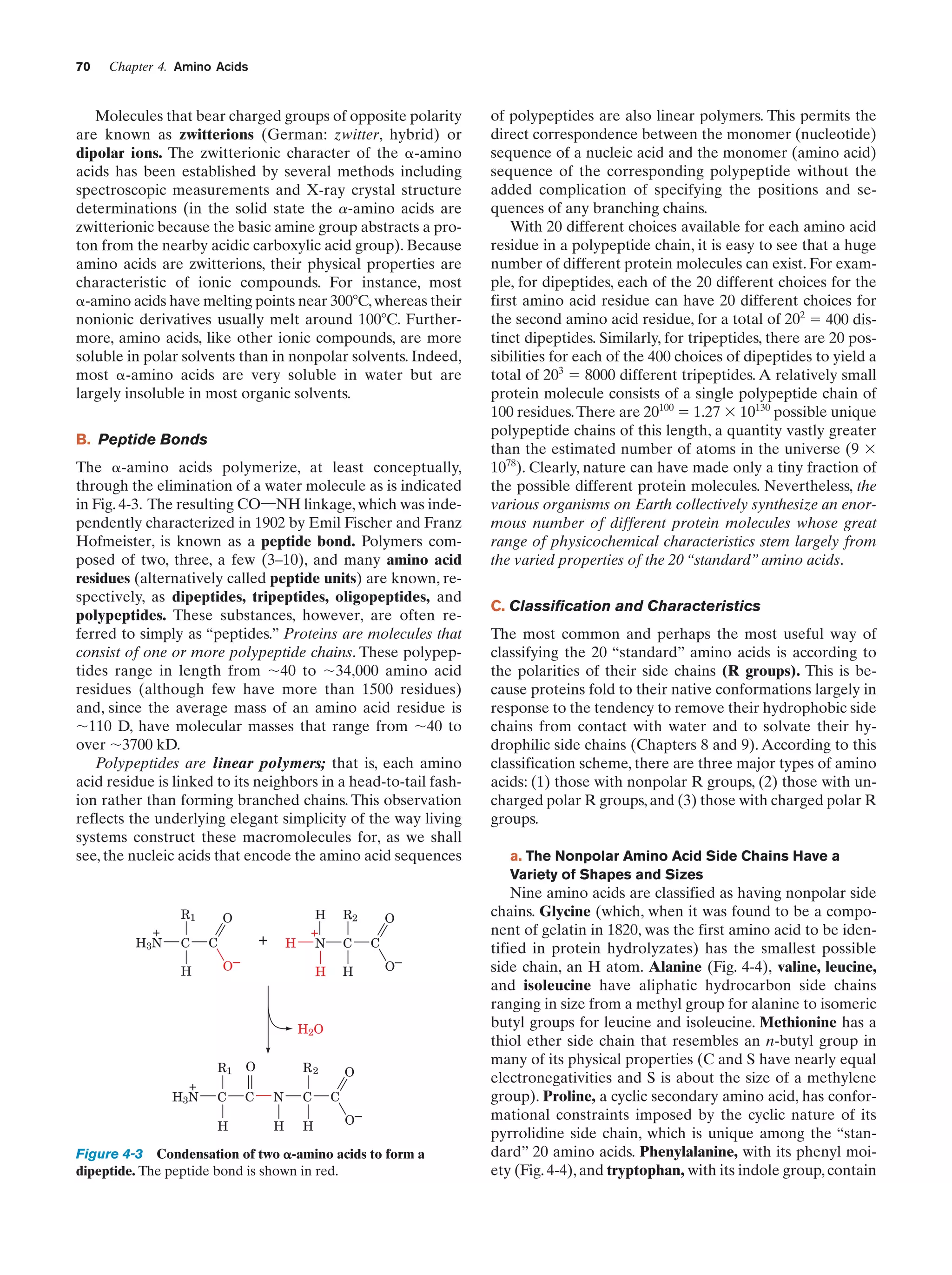 70

Chapter 4. Amino Acids

Molecules that bear charged groups of opposite polarity
are known as zwitterions (German: zwitter, hybrid) or
dipolar ions. The zwitterionic character of the ␣-amino
acids has been established by several methods including
spectroscopic measurements and X-ray crystal structure
determinations (in the solid state the a-amino acids are
zwitterionic because the basic amine group abstracts a proton from the nearby acidic carboxylic acid group). Because
amino acids are zwitterions, their physical properties are
characteristic of ionic compounds. For instance, most
␣-amino acids have melting points near 300ЊC, whereas their
nonionic derivatives usually melt around 100ЊC. Furthermore, amino acids, like other ionic compounds, are more
soluble in polar solvents than in nonpolar solvents. Indeed,
most ␣-amino acids are very soluble in water but are
largely insoluble in most organic solvents.
B. Peptide Bonds
The ␣-amino acids polymerize, at least conceptually,
through the elimination of a water molecule as is indicated
in Fig. 4-3. The resulting CO¬NH linkage, which was independently characterized in 1902 by Emil Fischer and Franz
Hofmeister, is known as a peptide bond. Polymers composed of two, three, a few (3–10), and many amino acid
residues (alternatively called peptide units) are known, respectively, as dipeptides, tripeptides, oligopeptides, and
polypeptides. These substances, however, are often referred to simply as “peptides.” Proteins are molecules that
consist of one or more polypeptide chains. These polypeptides range in length from ϳ40 to ϳ34,000 amino acid
residues (although few have more than 1500 residues)
and, since the average mass of an amino acid residue is
ϳ110 D, have molecular masses that range from ϳ40 to
over ϳ3700 kD.
Polypeptides are linear polymers; that is, each amino
acid residue is linked to its neighbors in a head-to-tail fashion rather than forming branched chains. This observation
reflects the underlying elegant simplicity of the way living
systems construct these macromolecules for, as we shall
see, the nucleic acids that encode the amino acid sequences

+
H3N

R1
C

H

+

C

H

R2

H

O

H
+
N

H

O–

C

O
C

O–

H2O

R1

+
H3N

O

C

C

H

R2
N

C

H

H

O
C

O–

Figure 4-3 Condensation of two ␣-amino acids to form a
dipeptide. The peptide bond is shown in red.

of polypeptides are also linear polymers. This permits the
direct correspondence between the monomer (nucleotide)
sequence of a nucleic acid and the monomer (amino acid)
sequence of the corresponding polypeptide without the
added complication of specifying the positions and sequences of any branching chains.
With 20 different choices available for each amino acid
residue in a polypeptide chain, it is easy to see that a huge
number of different protein molecules can exist. For example, for dipeptides, each of the 20 different choices for the
first amino acid residue can have 20 different choices for
the second amino acid residue, for a total of 202 ϭ 400 distinct dipeptides. Similarly, for tripeptides, there are 20 possibilities for each of the 400 choices of dipeptides to yield a
total of 203 ϭ 8000 different tripeptides. A relatively small
protein molecule consists of a single polypeptide chain of
100 residues. There are 20100 ϭ 1.27 ϫ 10130 possible unique
polypeptide chains of this length, a quantity vastly greater
than the estimated number of atoms in the universe (9 ϫ
1078). Clearly, nature can have made only a tiny fraction of
the possible different protein molecules. Nevertheless, the
various organisms on Earth collectively synthesize an enormous number of different protein molecules whose great
range of physicochemical characteristics stem largely from
the varied properties of the 20 “standard” amino acids.
C. Classification and Characteristics
The most common and perhaps the most useful way of
classifying the 20 “standard” amino acids is according to
the polarities of their side chains (R groups). This is because proteins fold to their native conformations largely in
response to the tendency to remove their hydrophobic side
chains from contact with water and to solvate their hydrophilic side chains (Chapters 8 and 9). According to this
classification scheme, there are three major types of amino
acids: (1) those with nonpolar R groups, (2) those with uncharged polar R groups, and (3) those with charged polar R
groups.
a. The Nonpolar Amino Acid Side Chains Have a
Variety of Shapes and Sizes

Nine amino acids are classified as having nonpolar side
chains. Glycine (which, when it was found to be a component of gelatin in 1820, was the first amino acid to be identified in protein hydrolyzates) has the smallest possible
side chain, an H atom. Alanine (Fig. 4-4), valine, leucine,
and isoleucine have aliphatic hydrocarbon side chains
ranging in size from a methyl group for alanine to isomeric
butyl groups for leucine and isoleucine. Methionine has a
thiol ether side chain that resembles an n-butyl group in
many of its physical properties (C and S have nearly equal
electronegativities and S is about the size of a methylene
group). Proline, a cyclic secondary amino acid, has conformational constraints imposed by the cyclic nature of its
pyrrolidine side chain, which is unique among the “standard” 20 amino acids. Phenylalanine, with its phenyl moiety (Fig. 4-4), and tryptophan, with its indole group, contain

 