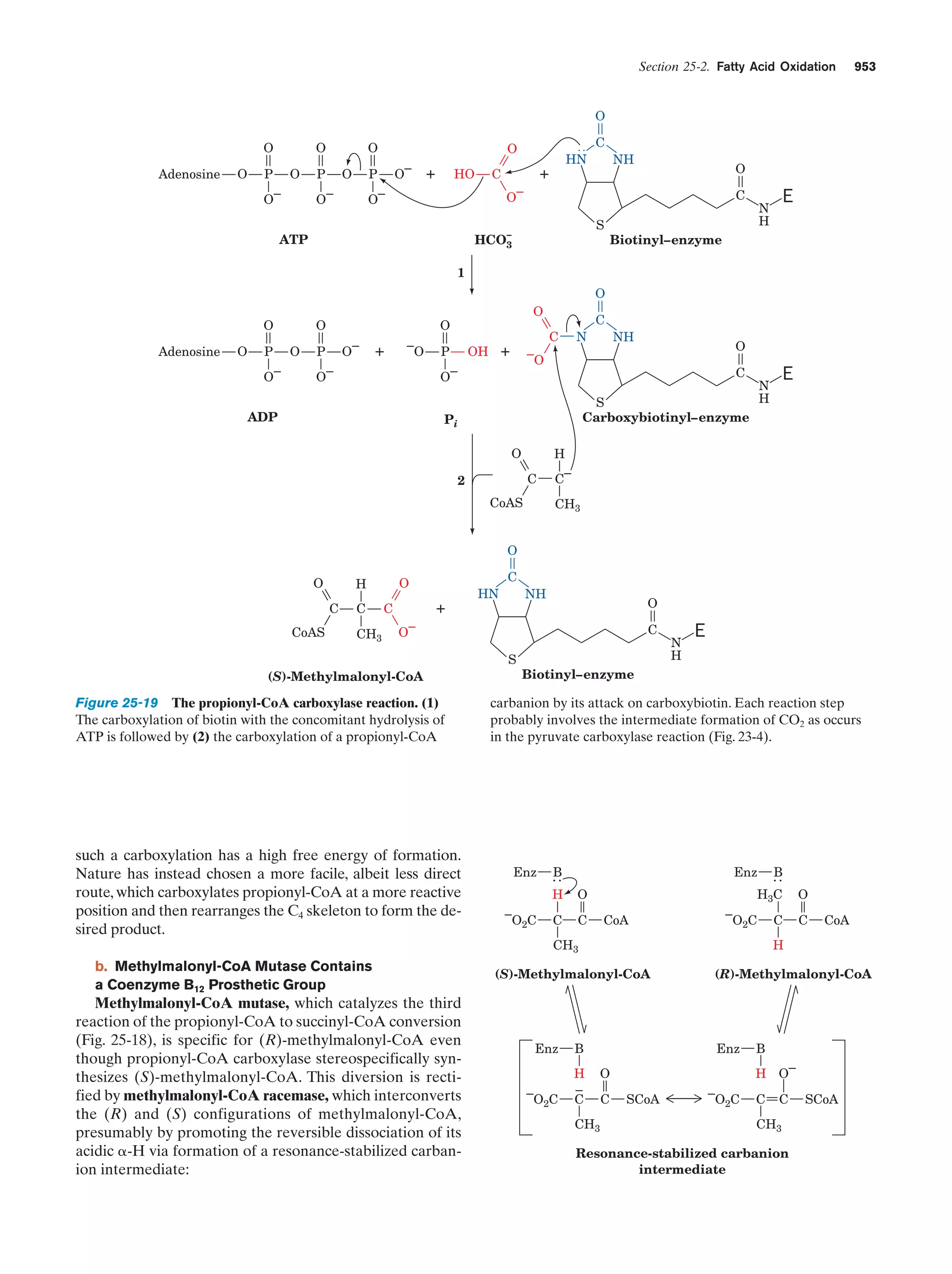 Biochemistry.4th.edition