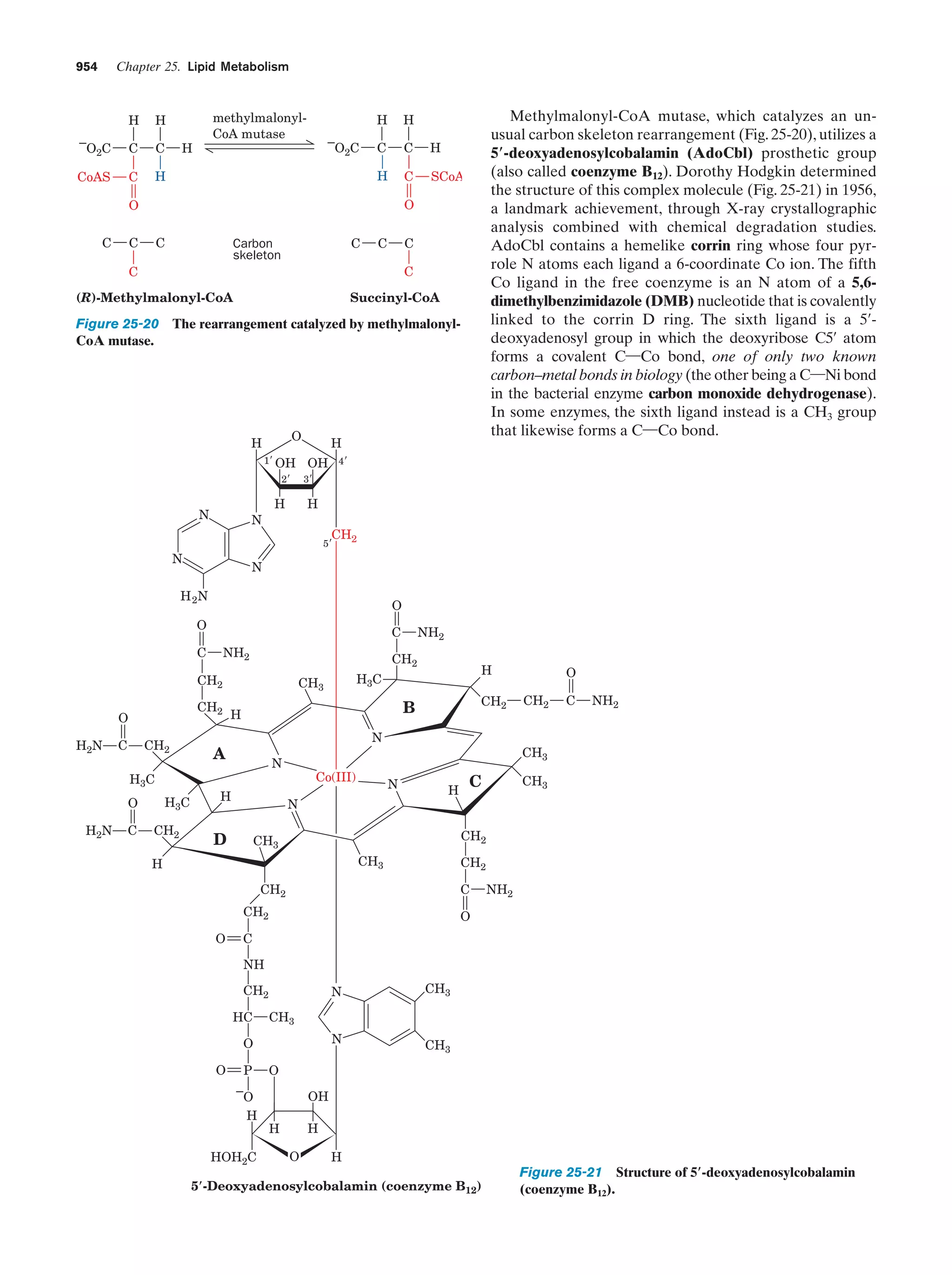 Biochemistry.4th.edition