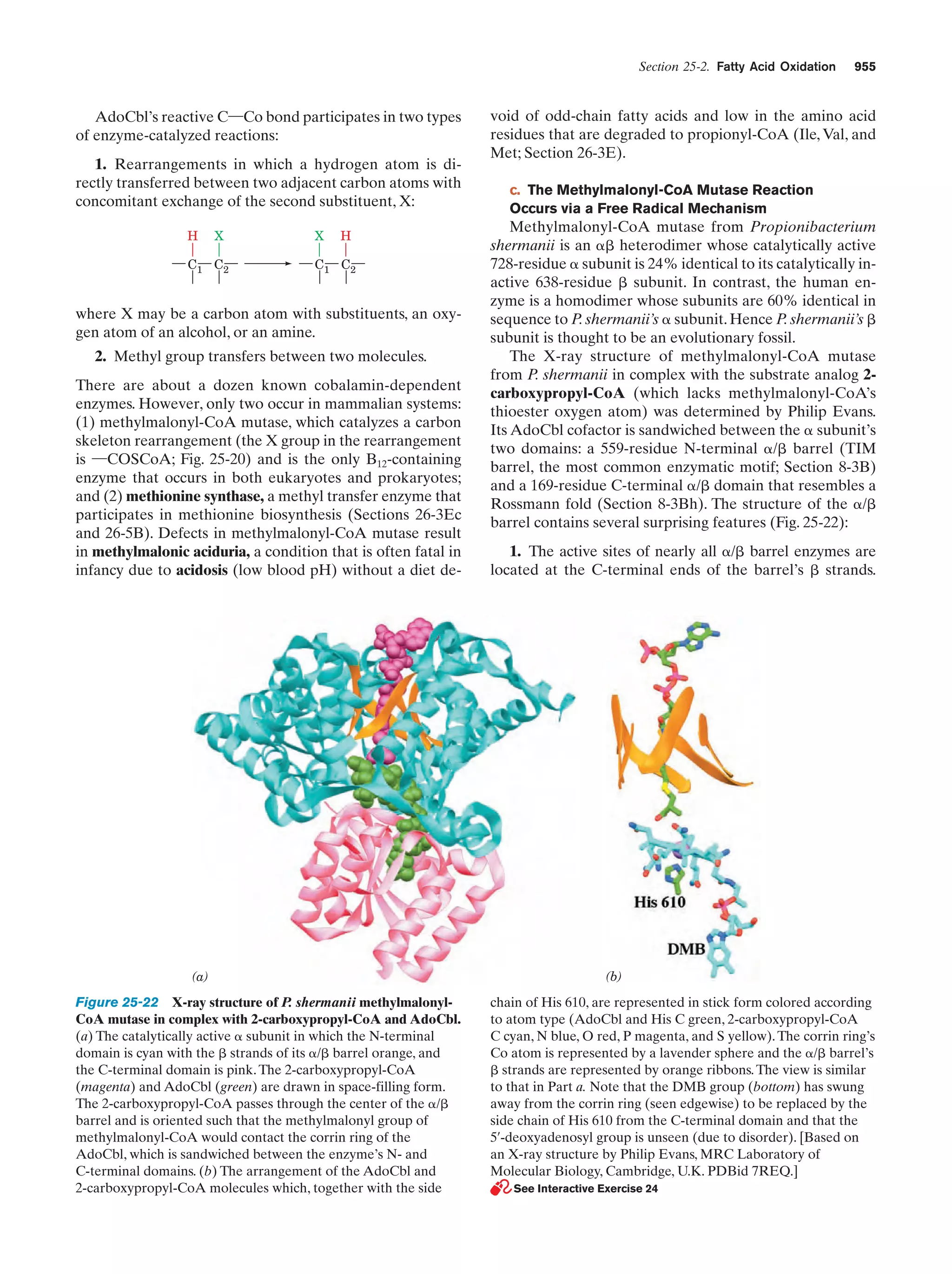 Biochemistry.4th.edition