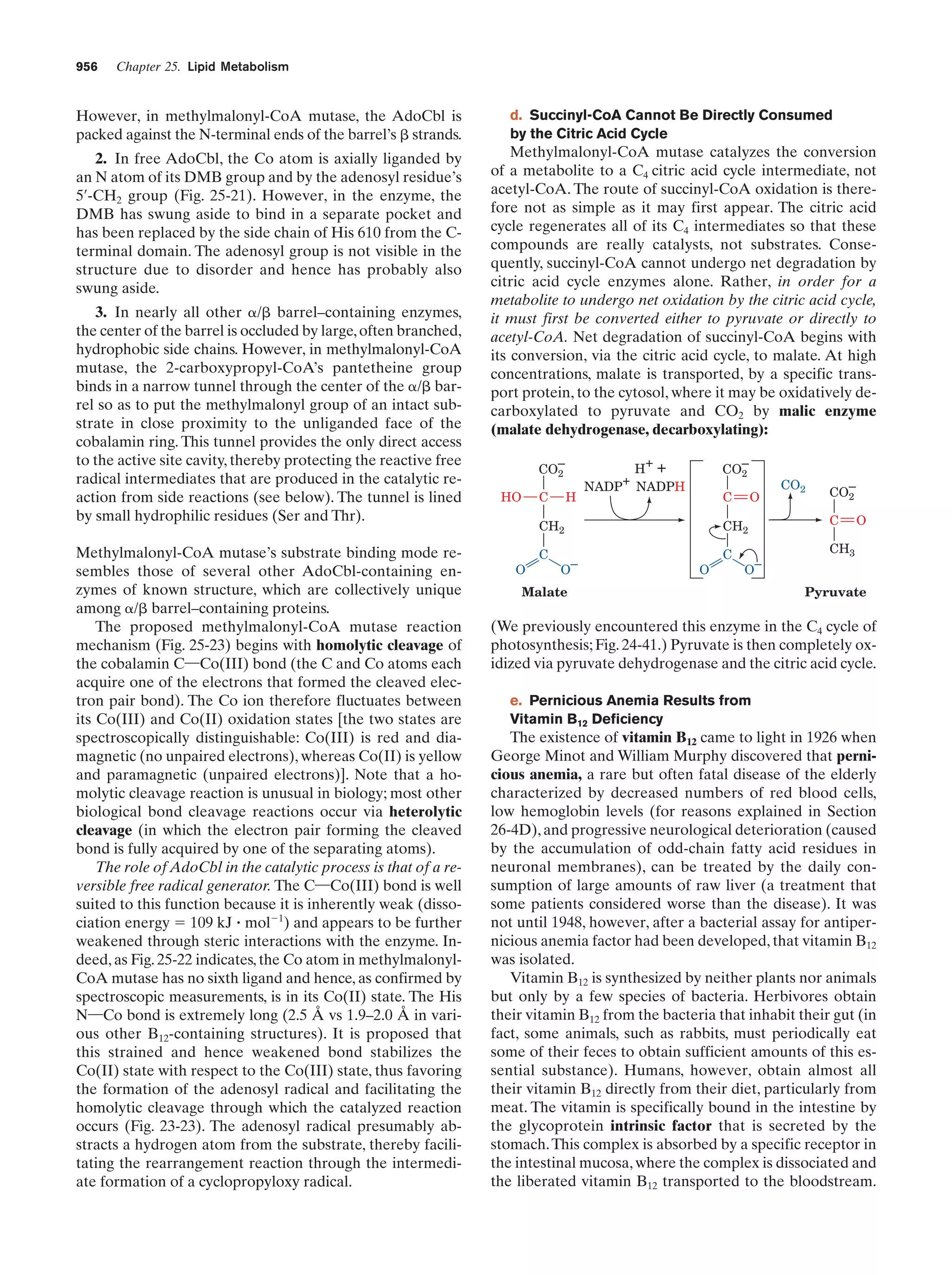 Biochemistry.4th.edition