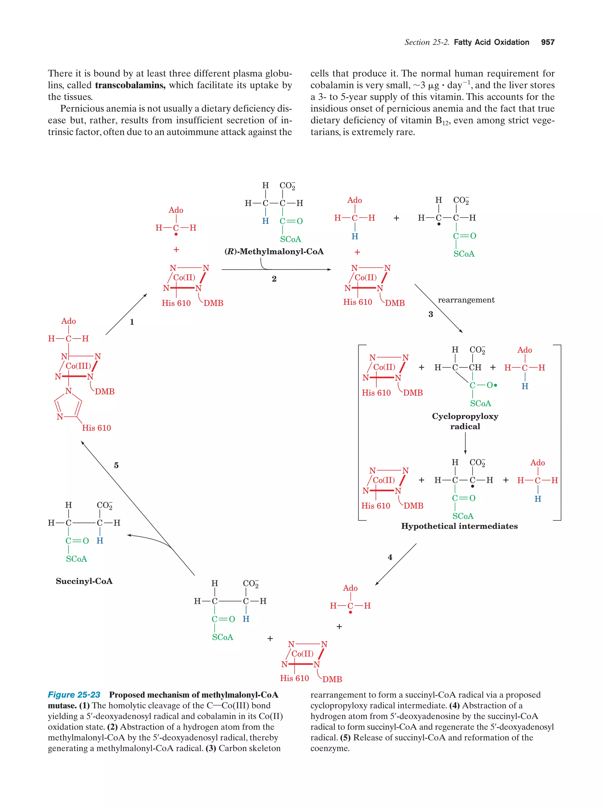 Biochemistry.4th.edition