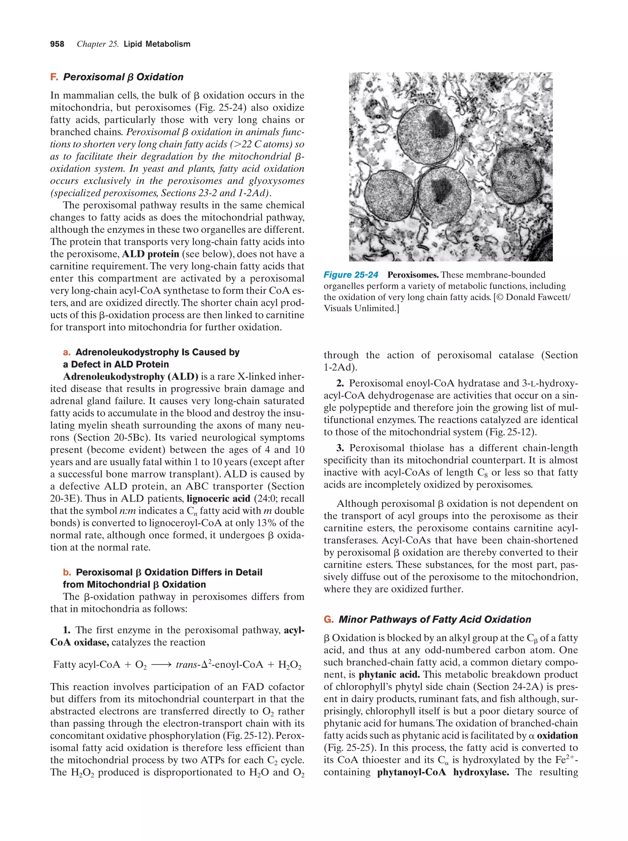 Biochemistry.4th.edition
