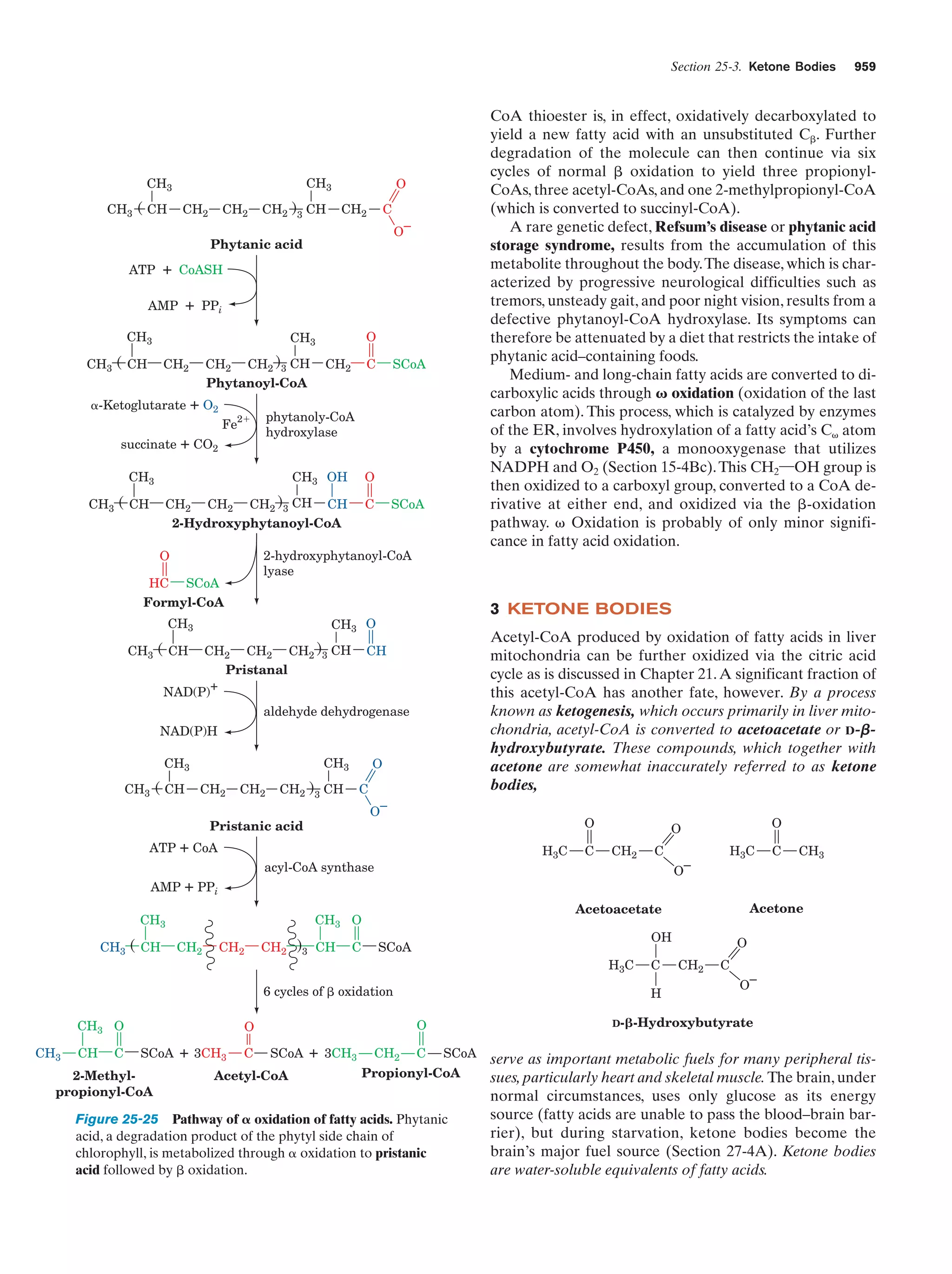 Biochemistry.4th.edition