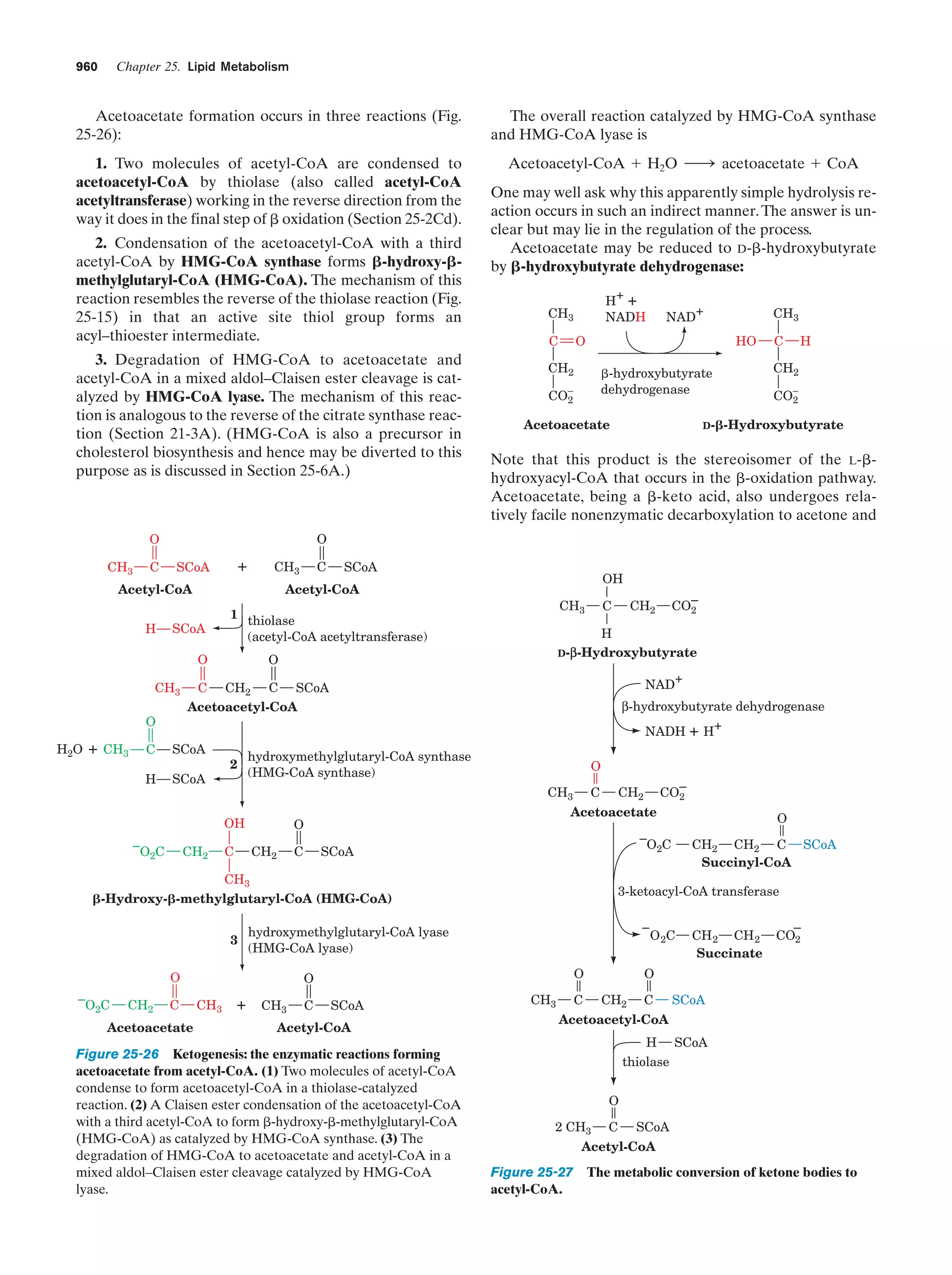 Biochemistry.4th.edition