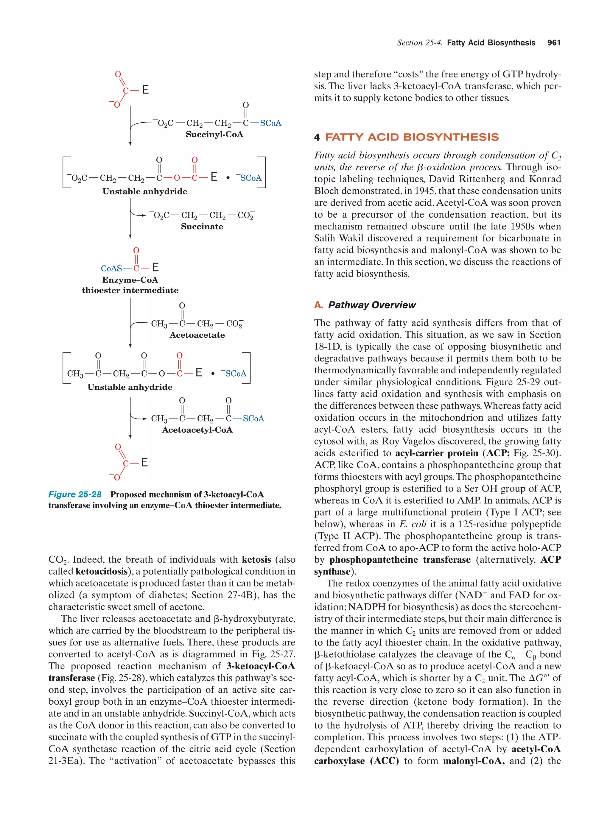 Biochemistry.4th.edition