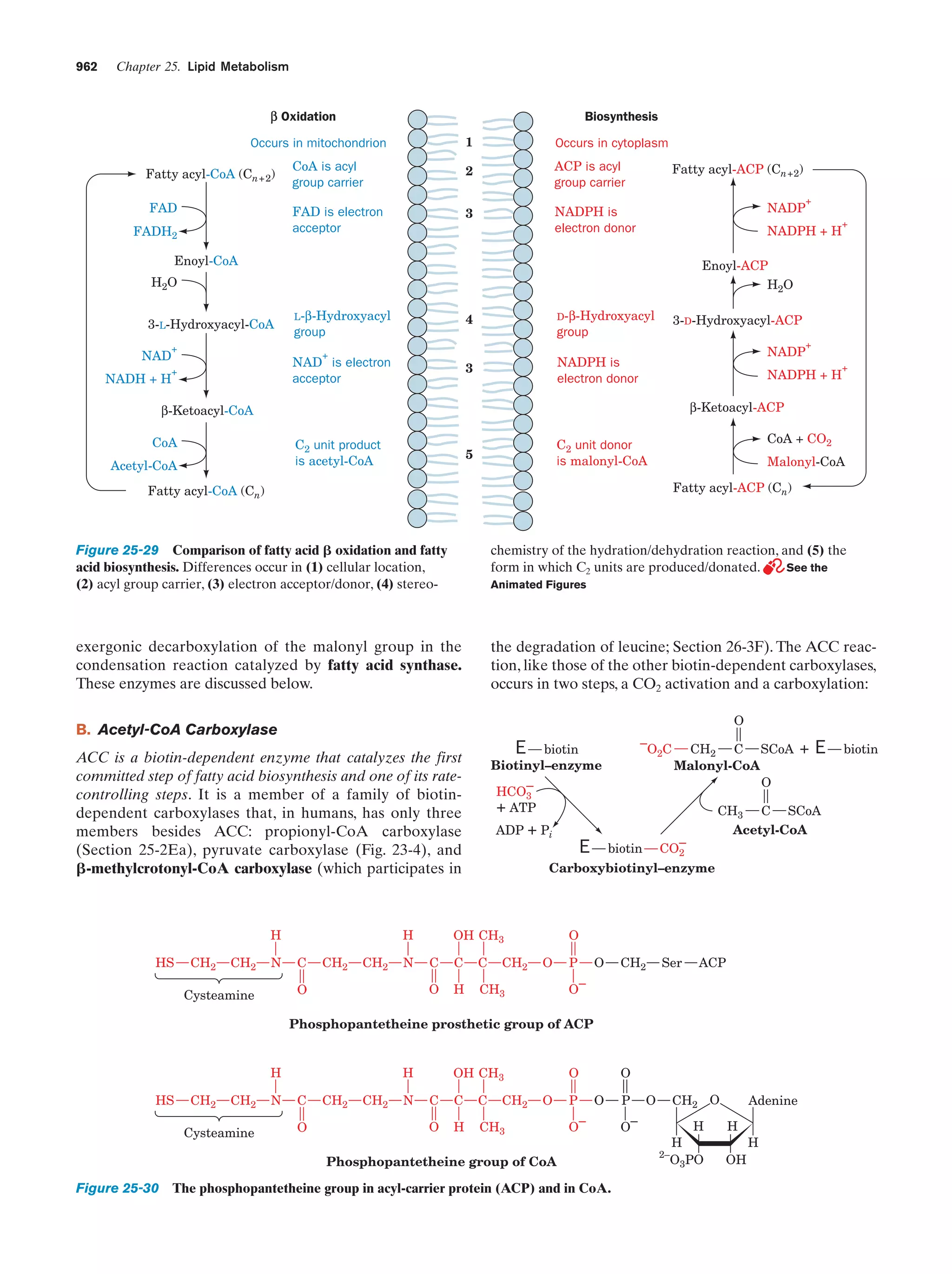Biochemistry.4th.edition