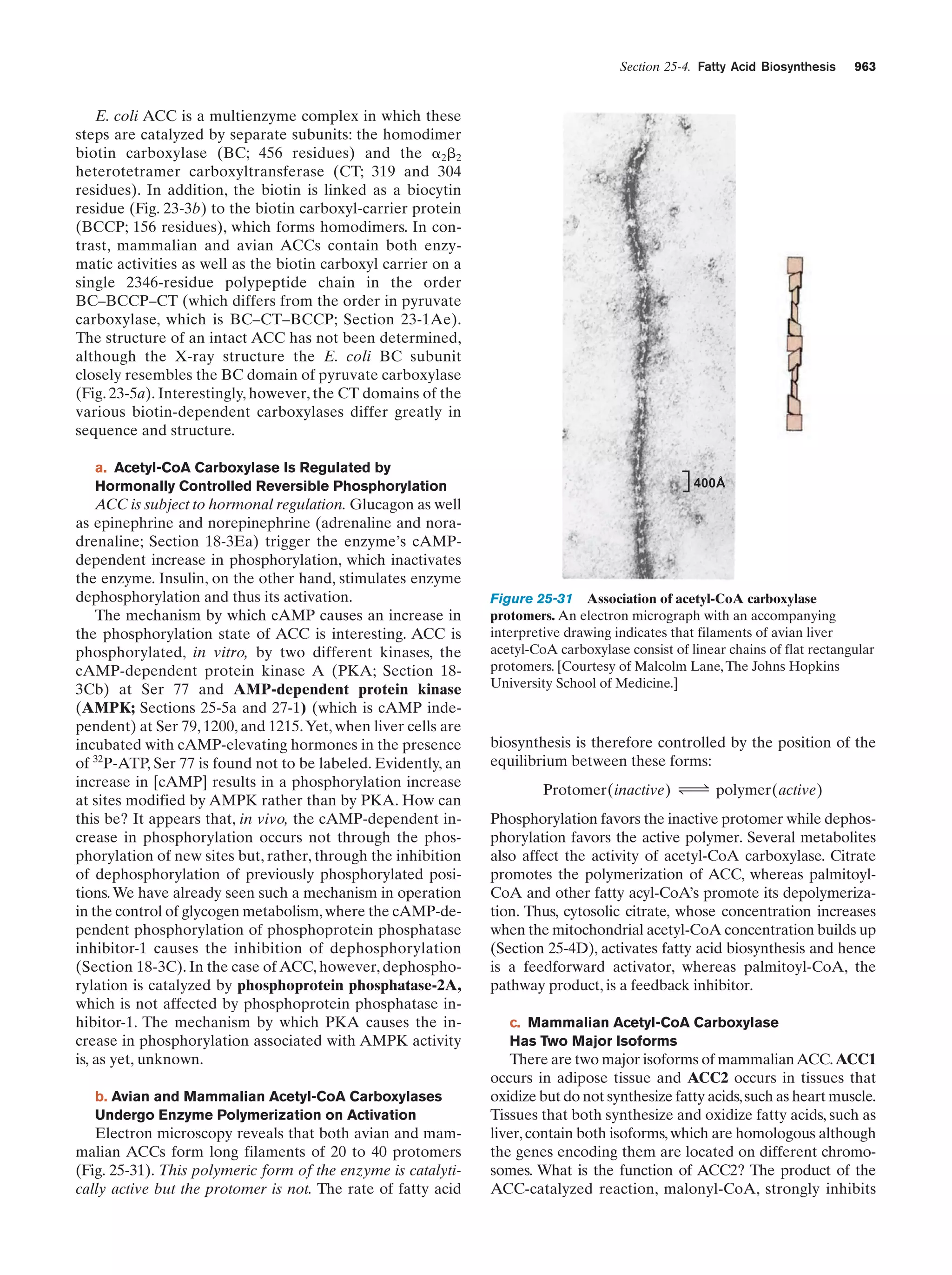 Biochemistry.4th.edition