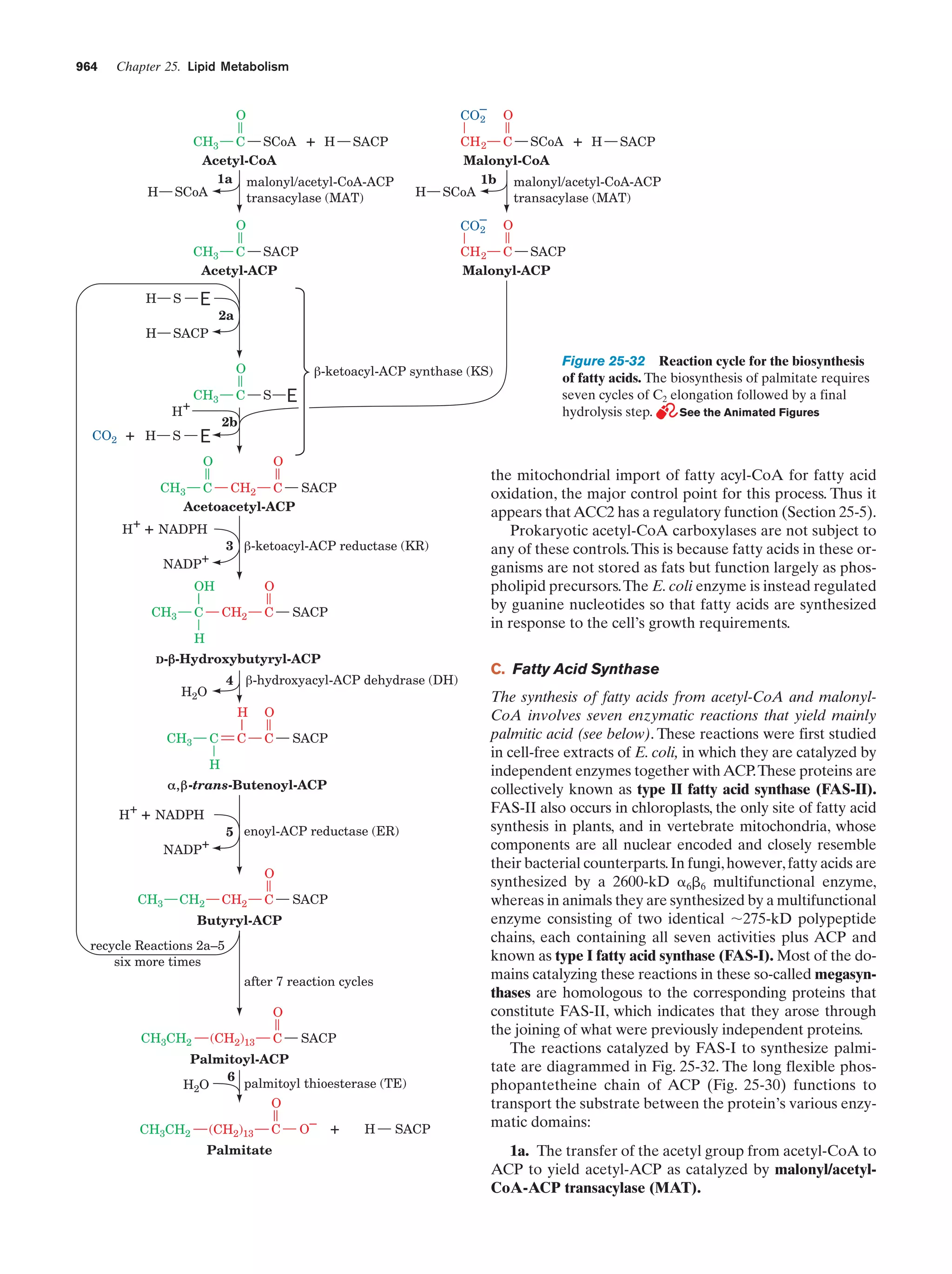 Biochemistry.4th.edition