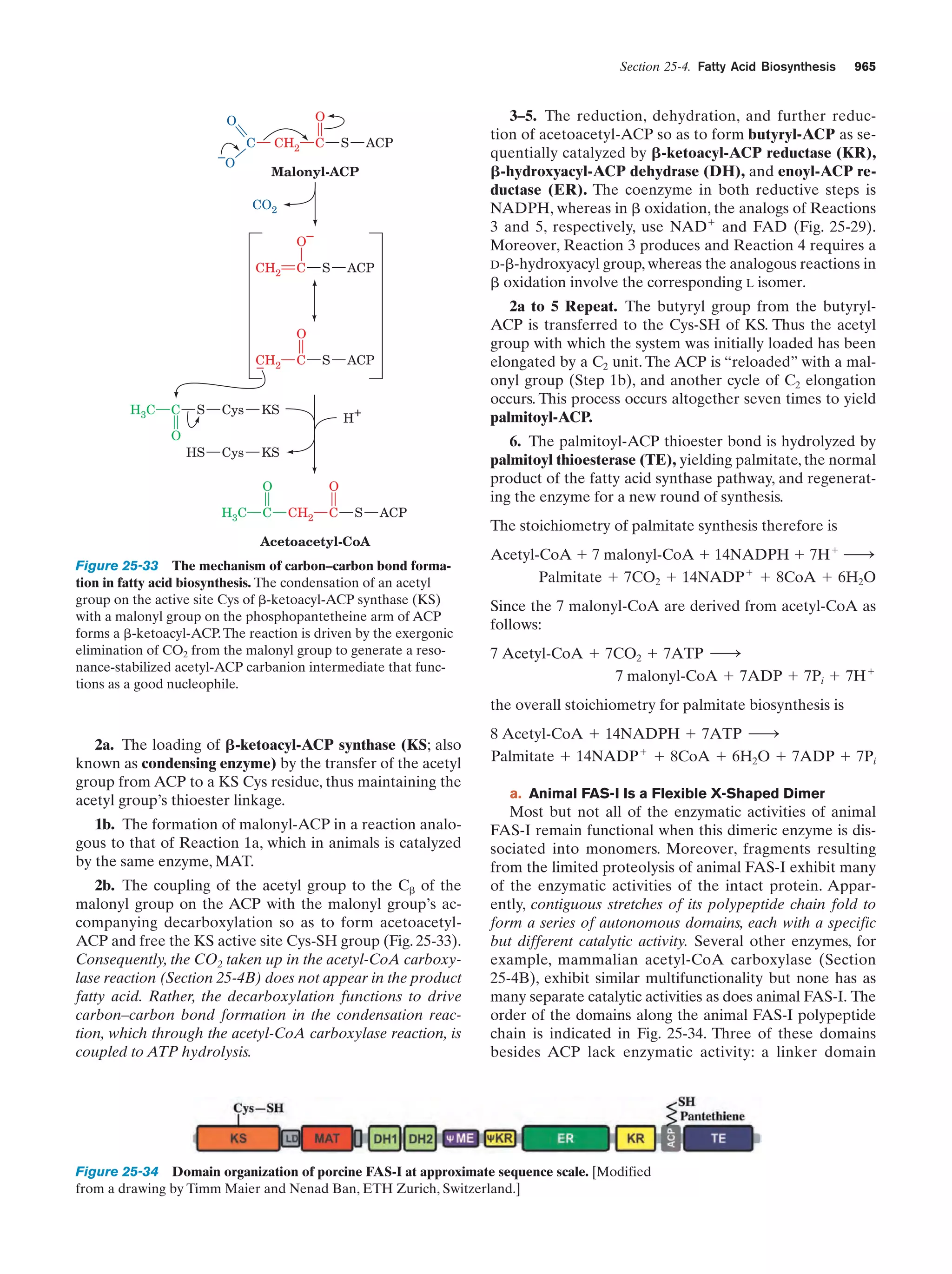 Biochemistry.4th.edition