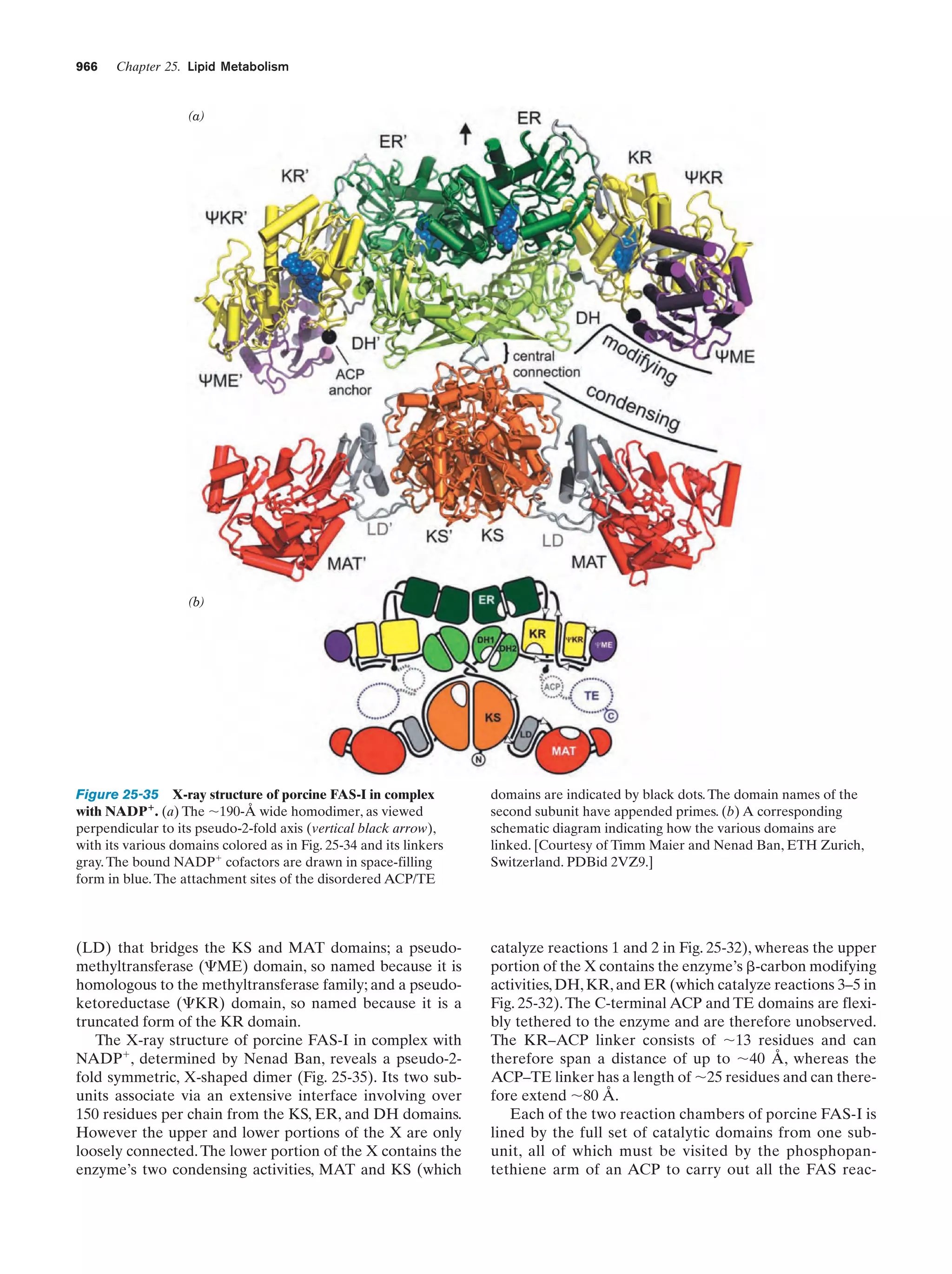 Biochemistry.4th.edition