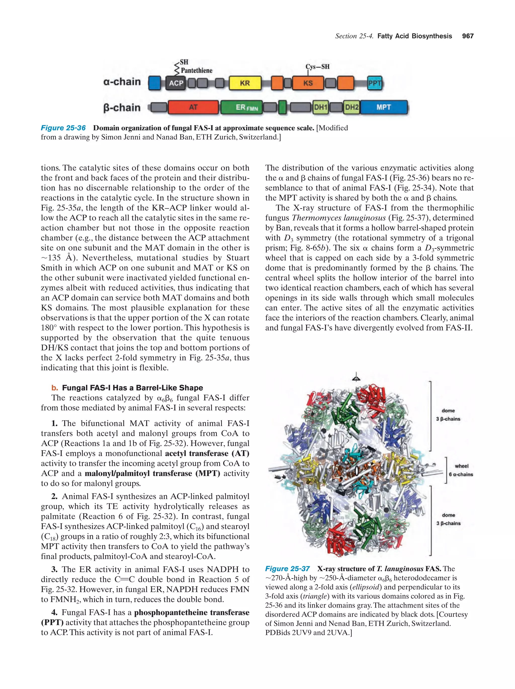 Biochemistry.4th.edition