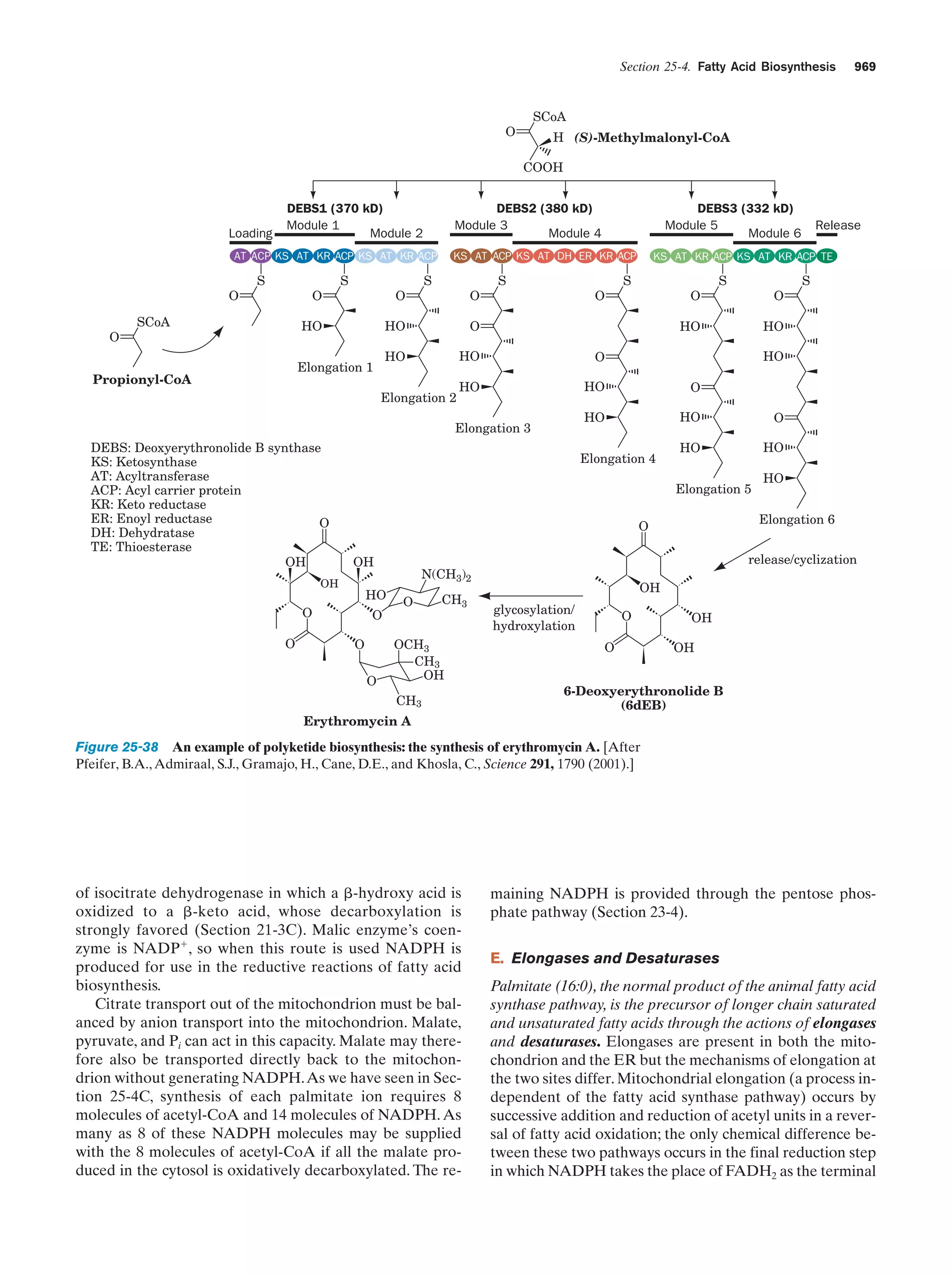 Biochemistry.4th.edition