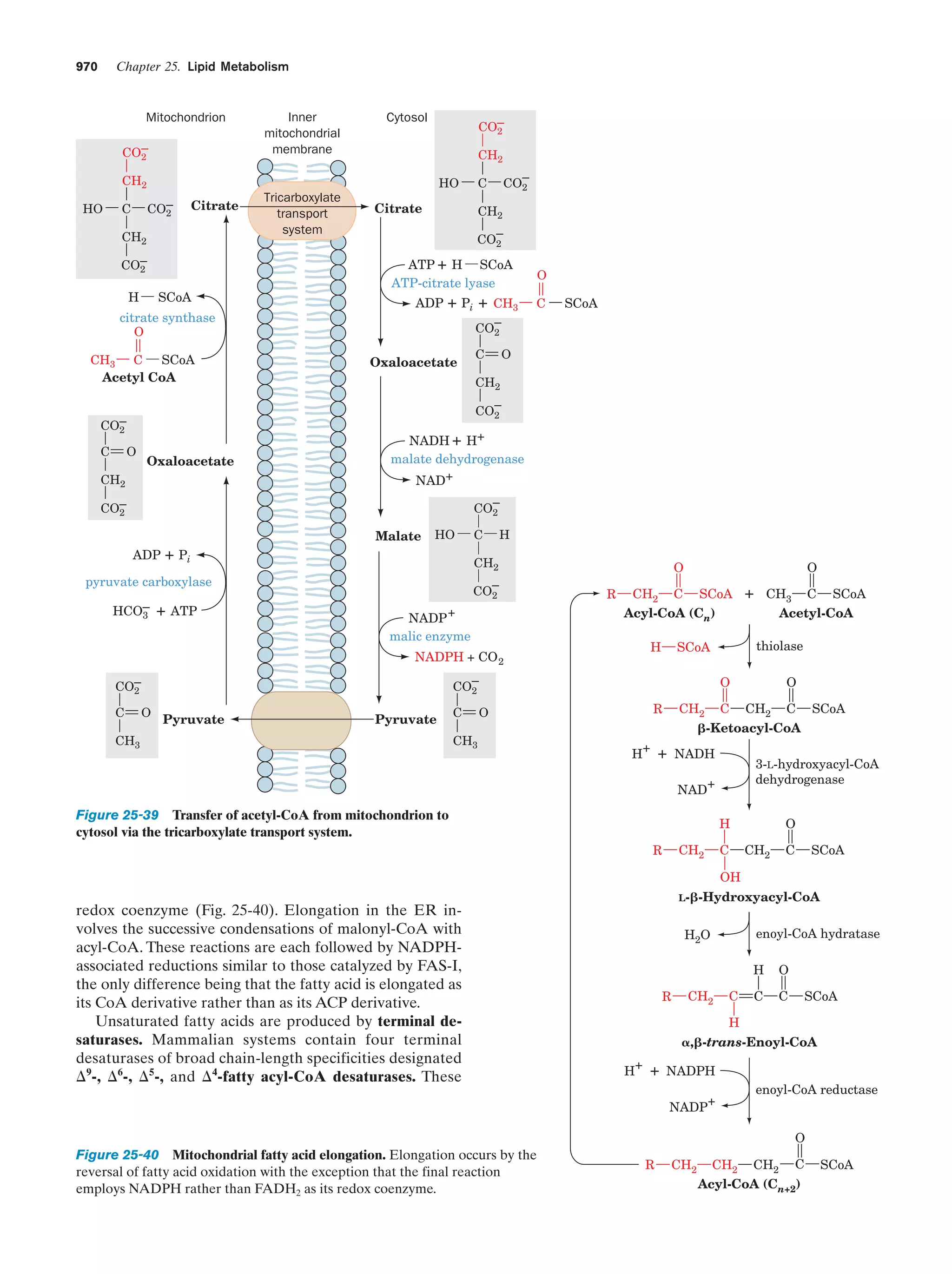 Biochemistry.4th.edition
