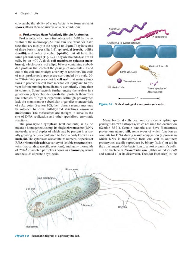 Biochemistry visual data 2