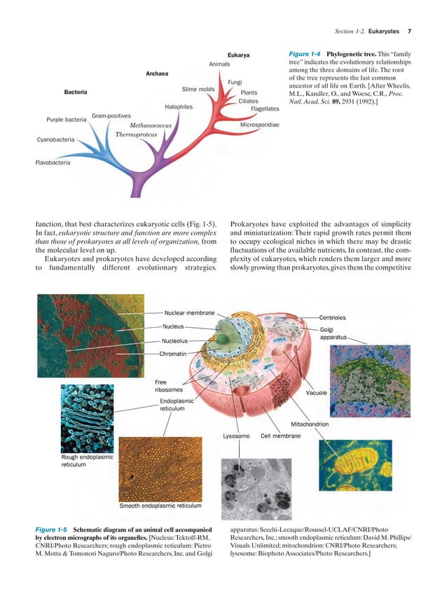 ESSENTIAL BIOCHEMISTRY 4TH EDITION SOLUTIONS MANUAL PDF visual data 8