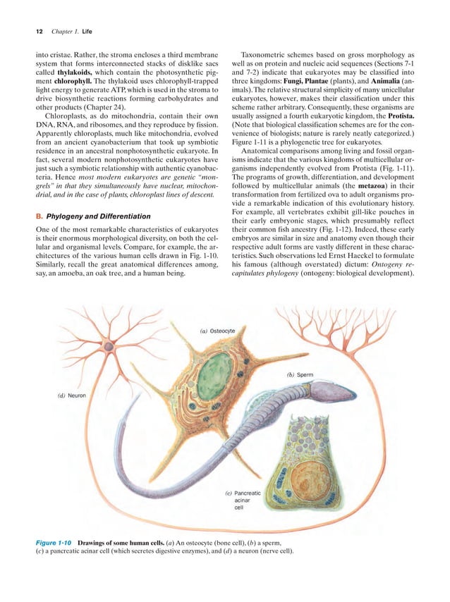 Biochemistry visual data 5