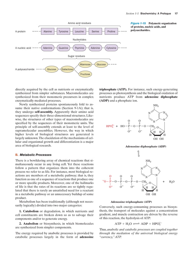 Biochemistry.4th.edition PDF