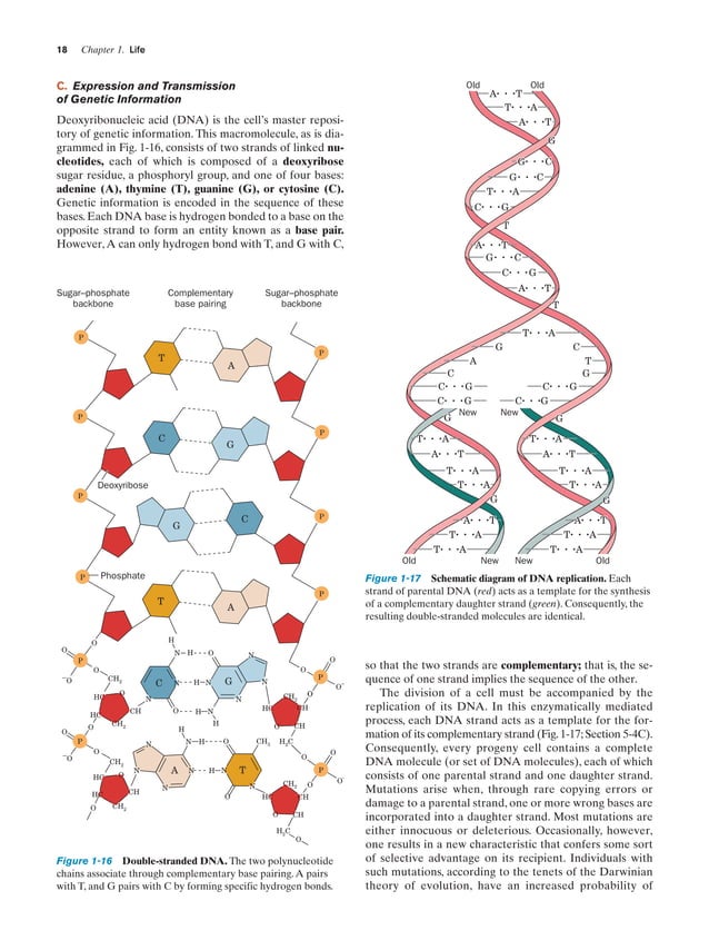 Biochemistry visual data 3