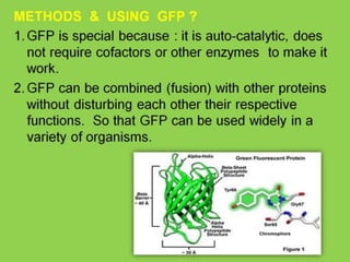 Biochemistry 