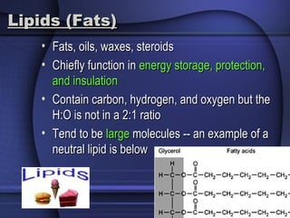Lipids (Fats)Lipids (Fats)
• Fats, oils, waxes, steroidsFats, oils, waxes, steroids
• Chiefly function inChiefly function in energy storage, protection,energy storage, protection,
and insulationand insulation
• Contain carbon, hydrogen, and oxygen but theContain carbon, hydrogen, and oxygen but the
H:O is not in a 2:1 ratioH:O is not in a 2:1 ratio
• Tend to beTend to be largelarge molecules -- an example of amolecules -- an example of a
neutral lipid is belowneutral lipid is below
 