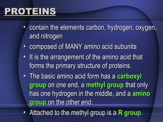 PROTEINSPROTEINS
• contain the elements carbon, hydrogen, oxygen,contain the elements carbon, hydrogen, oxygen,
and nitrogenand nitrogen
• composed of MANY amino acid subunitscomposed of MANY amino acid subunits
• It is the arrangement of the amino acid thatIt is the arrangement of the amino acid that
forms the primary structure of proteins.forms the primary structure of proteins.
• The basic amino acid form has aThe basic amino acid form has a carboxylcarboxyl
groupgroup on one end, aon one end, a methyl groupmethyl group that onlythat only
has one hydrogen in the middle, and ahas one hydrogen in the middle, and a aminoamino
groupgroup on the other end.on the other end.
• Attached to the methyl group is aAttached to the methyl group is a RR groupgroup..
 