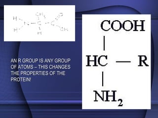 AN R GROUP IS ANY GROUPAN R GROUP IS ANY GROUP
OF ATOMS – THIS CHANGESOF ATOMS – THIS CHANGES
THE PROPERTIES OF THETHE PROPERTIES OF THE
PROTEIN!PROTEIN!
 
