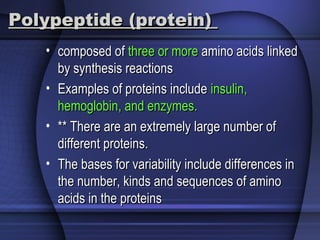 Polypeptide (protein)Polypeptide (protein)
• composed ofcomposed of three or morethree or more amino acids linkedamino acids linked
by synthesis reactionsby synthesis reactions
• Examples of proteins includeExamples of proteins include insulin,insulin,
hemoglobin, and enzymes.hemoglobin, and enzymes.
• ** There are an extremely large number of** There are an extremely large number of
different proteins.different proteins.
• The bases for variability include differences inThe bases for variability include differences in
the number, kinds and sequences of aminothe number, kinds and sequences of amino
acids in the proteinsacids in the proteins
 