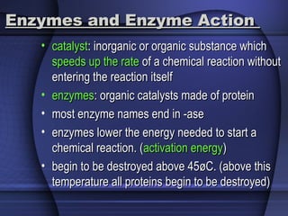 Enzymes and Enzyme ActionEnzymes and Enzyme Action
• catalystcatalyst: inorganic or organic substance which: inorganic or organic substance which
speeds up the ratespeeds up the rate of a chemical reaction withoutof a chemical reaction without
entering the reaction itselfentering the reaction itself
• enzymesenzymes: organic catalysts made of protein: organic catalysts made of protein
• most enzyme names end in -asemost enzyme names end in -ase
• enzymes lower the energy needed to start aenzymes lower the energy needed to start a
chemical reaction. (chemical reaction. (activation energyactivation energy))
• begin to be destroyed above 45øC. (above thisbegin to be destroyed above 45øC. (above this
temperature all proteins begin to be destroyed)temperature all proteins begin to be destroyed)
 