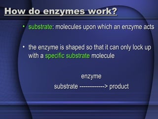 How do enzymes work?How do enzymes work?
• substratesubstrate: molecules upon which an enzyme acts: molecules upon which an enzyme acts
• the enzyme is shaped so that it can only lock upthe enzyme is shaped so that it can only lock up
with awith a specific substratespecific substrate moleculemolecule
enzymeenzyme
substrate -------------> productsubstrate -------------> product
 