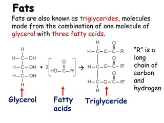 Fats
Fats are also known as triglycerides, molecules
made from the combination of one molecule of
glycerol with three fatty acids.
Glycerol Fatty
acids
Triglyceride
“R” is a
long
chain of
carbon
and
hydrogen
 