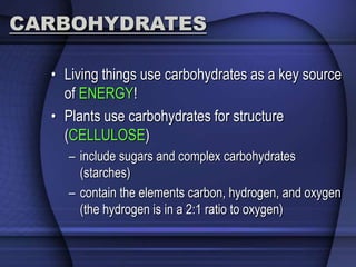 CARBOHYDRATES 
• Living things use carbohydrates as a key source 
of ENERGY! 
• Plants use carbohydrates for structure 
(CELLULOSE) 
– include sugars and complex carbohydrates 
(starches) 
– contain the elements carbon, hydrogen, and oxygen 
(the hydrogen is in a 2:1 ratio to oxygen) 
 