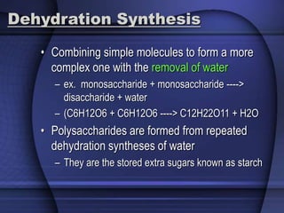 Dehydration Synthesis 
• Combining simple molecules to form a more 
complex one with the removal of water 
– ex. monosaccharide + monosaccharide ----> 
disaccharide + water 
– (C6H12O6 + C6H12O6 ----> C12H22O11 + H2O 
• Polysaccharides are formed from repeated 
dehydration syntheses of water 
– They are the stored extra sugars known as starch 
 