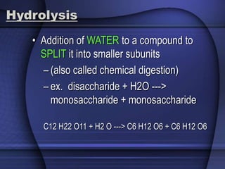 Hydrolysis 
• Addition of WATER to a compound to 
SPLIT it into smaller subunits 
– (also called chemical digestion) 
– ex. disaccharide + H2O ---> 
monosaccharide + monosaccharide 
C12 H22 O11 + H2 O ---> C6 H12 O6 + C6 H12 O6 
 