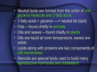 • Neutral lipids are formed from the union of one 
glycerol molecule and 3 fatty acids 
• 3 fatty acids + glycerol ----> neutral fat (lipid) 
• Fats -- found chiefly in animals 
• Oils and waxes -- found chiefly in plants 
• Oils are liquid at room temperature, waxes are 
solids 
• Lipids along with proteins are key components of 
cell membranes 
• Steroids are special lipids used to build many 
reproductive hormones and cholesterol 
 