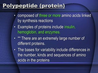 Polypeptide (protein) 
• composed of three or more amino acids linked 
by synthesis reactions 
• Examples of proteins include insulin, 
hemoglobin, and enzymes. 
• ** There are an extremely large number of 
different proteins. 
• The bases for variability include differences in 
the number, kinds and sequences of amino 
acids in the proteins 
 