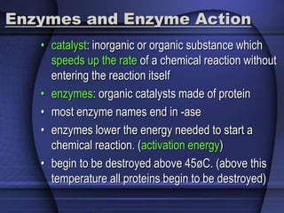 Enzymes and Enzyme Action 
• catalyst: inorganic or organic substance which 
speeds up the rate of a chemical reaction without 
entering the reaction itself 
• enzymes: organic catalysts made of protein 
• most enzyme names end in -ase 
• enzymes lower the energy needed to start a 
chemical reaction. (activation energy) 
• begin to be destroyed above 45øC. (above this 
temperature all proteins begin to be destroyed) 
 