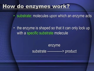 How do enzymes work? 
• substrate: molecules upon which an enzyme acts 
• the enzyme is shaped so that it can only lock up 
with a specific substrate molecule 
enzyme 
substrate -------------> product 
 