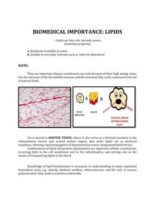 BIOMEDICAL IMPORTANCE: LIPIDS
- Lipids are fats, oils, steroids, waxes
(Common property)
a. Relatively insoluble in water.
b. Soluble in non polar solvents such as ‘ether & chloroform’
NOTE:
They are important dietary constituents not only because of their high energy value,
but also because of the fat-soluble vitamins and the essential fatty acids contained in the fat
of natural foods.
Fat is stored in ADIPOSE TISSUE, where it also serve as a thermal insulator in the
subcutaneous tissues and around certain organs. Non polar lipids act as electrical
insulators, allowing rapid propagation of depolarization waves along myenilated nerves.
Combinations of lipids and protein (lipoprotein) are important cellular constituents,
occurring both in the cell membrane and in the mitochondria, and serving also as the
means of transporting lipids in the blood.
Knowledge of lipid biochemistry is necessary in understanding in many important
biomedical areas, e.g., obesity, diabetes mellitus, atherosclerosis, and the rule of various
polysaturated fatty acids in nutrition and health.
 