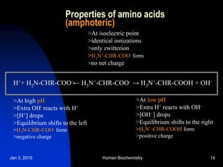 Jan 3, 2010 Human Biochemistry 14
Properties of amino acids
(amphoteric)
H++ H2N-CHR-COO-← H3N+-CHR-COO- → H3N+-CHR-COOH + OH-
>At low pH
>Extra H+ reacts with OH-
>[OH- ] drops
>Equilibrium shifts to the right
>H3N+
-CHR-COOH form
>positive charge
>At high pH
>Extra OH- reacts with H+
>[H+] drops
>Equilibrium shifts to the left
>H2N-CHR-COO-
form
>negative charge
>At isoelectric point
>identical ionizations
>only zwitterion
>H3N+
-CHR-COO-
form
>no net charge
 