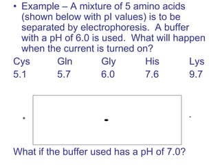 • Example – A mixture of 5 amino acids
(shown below with pI values) is to be
separated by electrophoresis. A buffer
with a pH of 6.0 is used. What will happen
when the current is turned on?
Cys Gln Gly His Lys
5.1 5.7 6.0 7.6 9.7
What if the buffer used has a pH of 7.0?
+ -
 