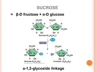 SUCROSE
= β-D fructose + α-D glucose
a-1,2-glycoside linkage
 