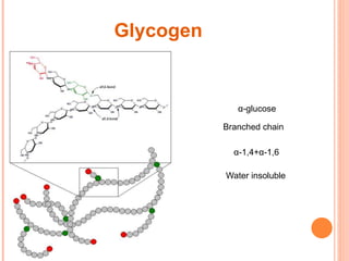 Glycogen
α-glucose
Branched chain
Water insoluble
α-1,4+α-1,6
 