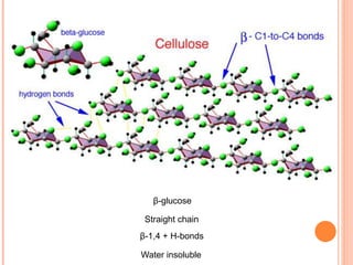 β-glucose
Straight chain
Water insoluble
β-1,4 + H-bonds
 