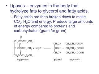 • Lipases – enzymes in the body that
hydrolyze fats to glycerol and fatty acids.
– Fatty acids are then broken down to make
CO2, H2O and energy. Produce large amounts
of energy compared to proteins and
carbohydrates (gram for gram)
 