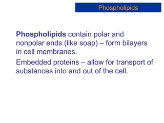 Phospholipids contain polar and
nonpolar ends (like soap) – form bilayers
in cell membranes.
Embedded proteins – allow for transport of
substances into and out of the cell.
Phospholipids
 
