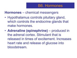 Hormones – chemical messengers
• Hypothalamus controls pituitary gland,
which controls the endocrine glands that
make hormones.
• Adrenaline (epinephrine) – produced in
the adrenal cortex. Stimulant that is
released in times of excitement. Increases
heart rate and release of glucose into
bloodstream.
B6. Hormones
 