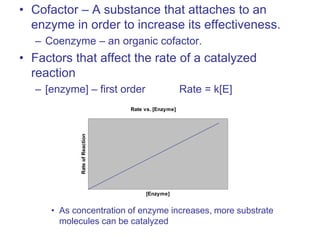 • Cofactor – A substance that attaches to an
enzyme in order to increase its effectiveness.
– Coenzyme – an organic cofactor.
• Factors that affect the rate of a catalyzed
reaction
– [enzyme] – first order Rate = k[E]
• As concentration of enzyme increases, more substrate
molecules can be catalyzed
Rate vs. [Enzyme]
[Enzyme]
RateofReaction
 